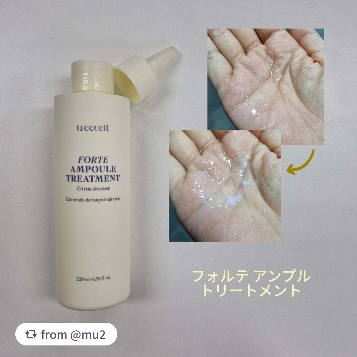 ナイトコラーゲンシャンプーミッドナイトフォレスト/treecell/市販シャンプーを使ったクチコミ(5枚目)