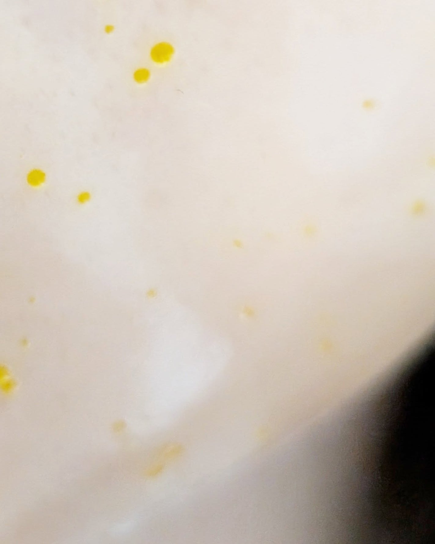 ReDRNエクソソームアンプル/Dr.nineteen/美容液を使ったクチコミ(4枚目)