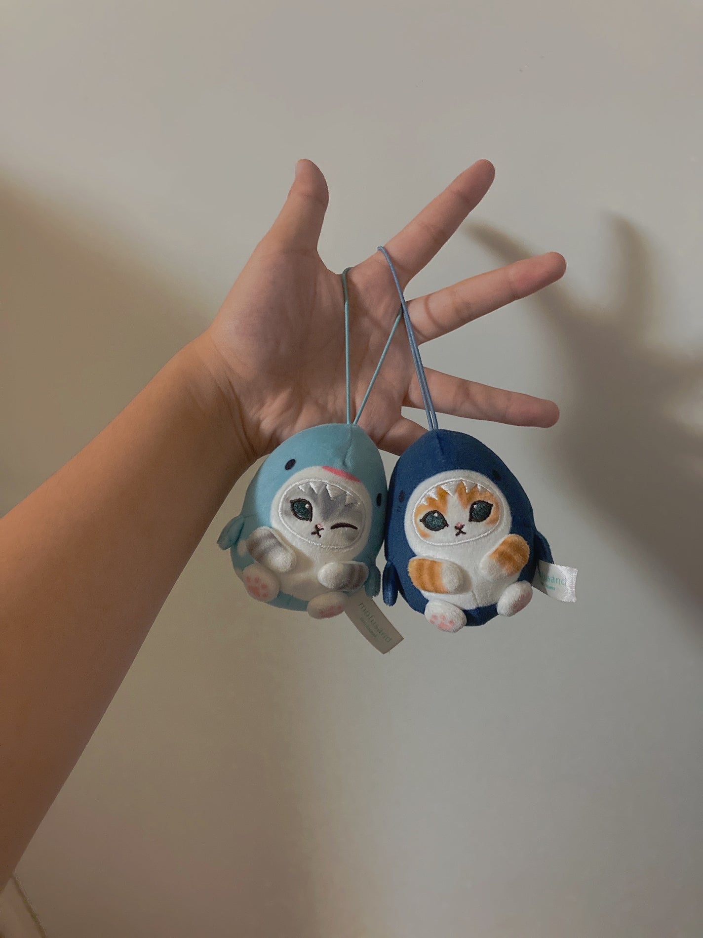 せな🐱🐧 フォロバ on LIPS 「こんにちは😊せなです😊私、アイコン変えます!理由は、mofus..」(2枚目)