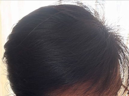 ノンシリコン アミノ酸 シャンプー/コンディショナー白樹(はくじゅ) シャンプー 300ml/MOGANS/市販シャンプーの画像