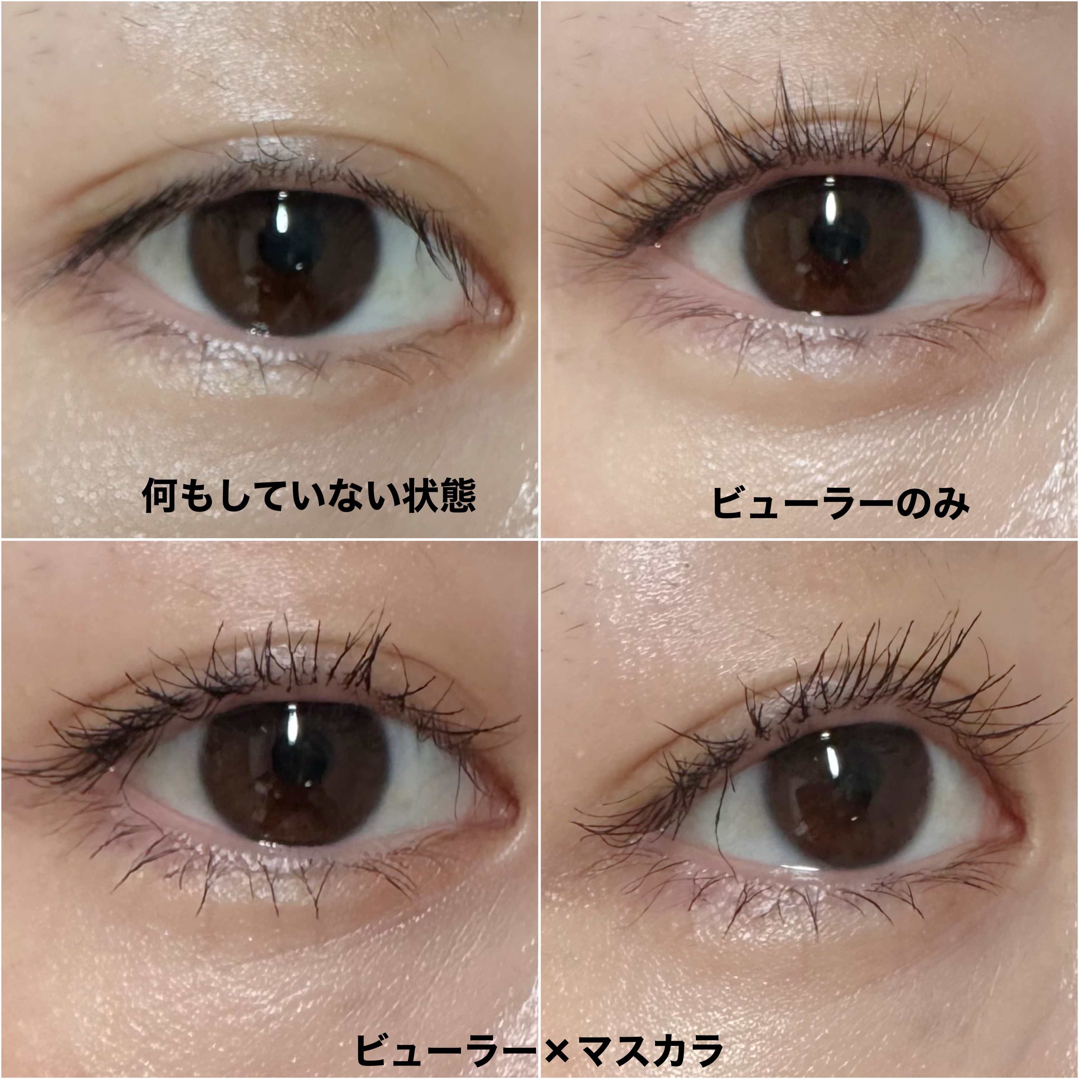 ビューティーアップマスカラ/PHOEBE BEAUTY UP/マスカラを使ったクチコミ（3枚目）