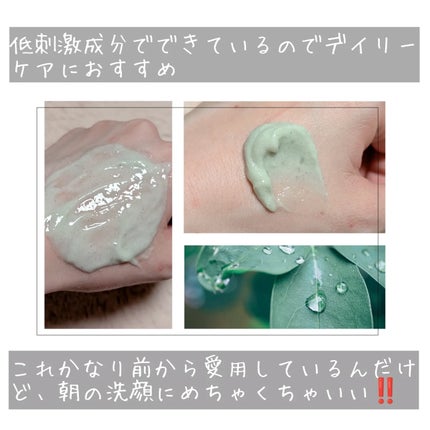 プレミアムもちソープ「グリーンアルティザン」/アレンシア/その他洗顔料を使ったクチコミ(4枚目)