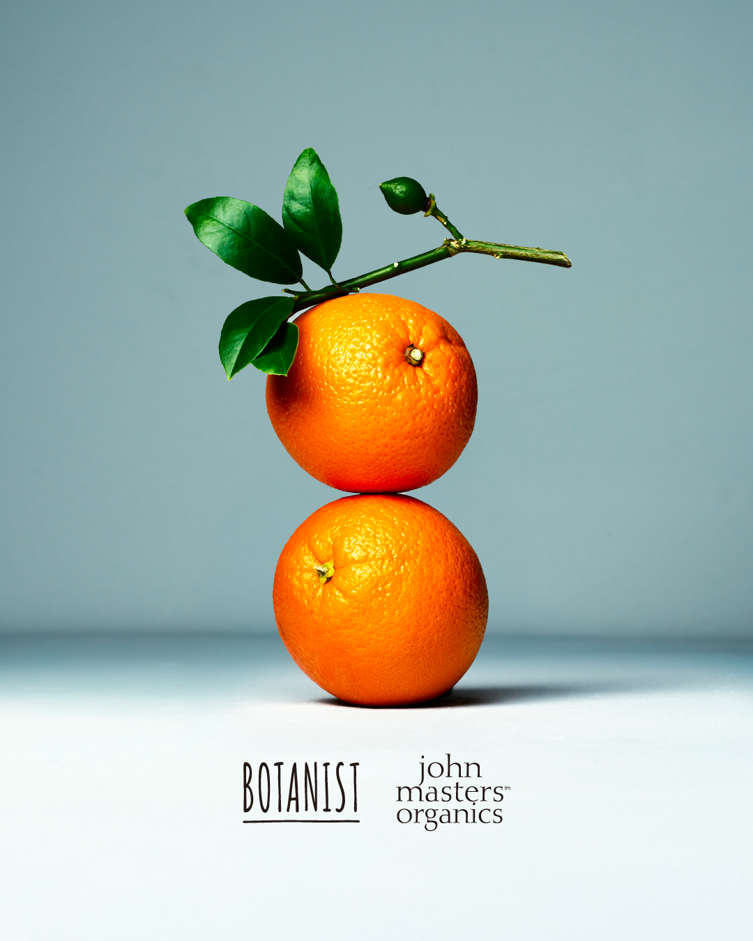 ボタニスト ボタニカルシャンプー/トリートメント スムース ジョンマスターオーガニック監修フレグランス/BOTANIST/市販シャンプーを使ったクチコミ(1枚目)