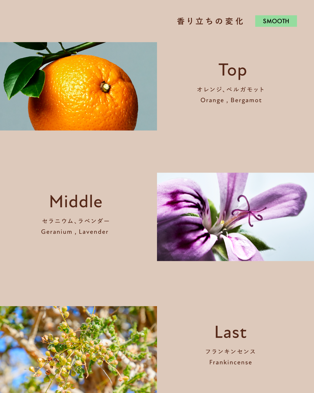 ボタニスト　ボタニカルシャンプー/トリートメント　スムース　ジョンマスターオーガニック監修フレグランス/BOTANIST/市販シャンプーを使ったクチコミ（2枚目）