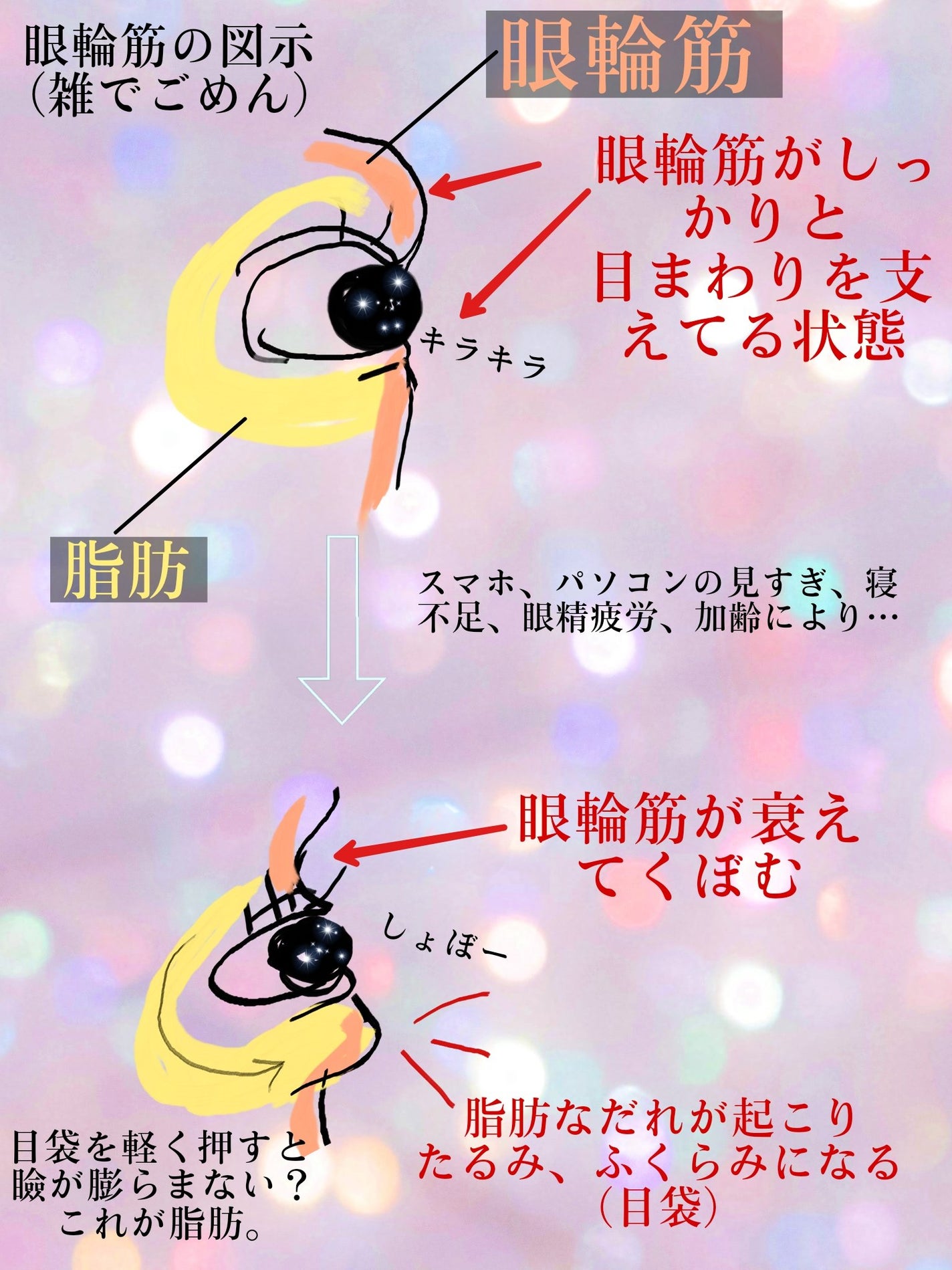 FAS ザ ブラック リフト アイクリーム/FAS/アイケア・アイクリームを使ったクチコミ(5枚目)