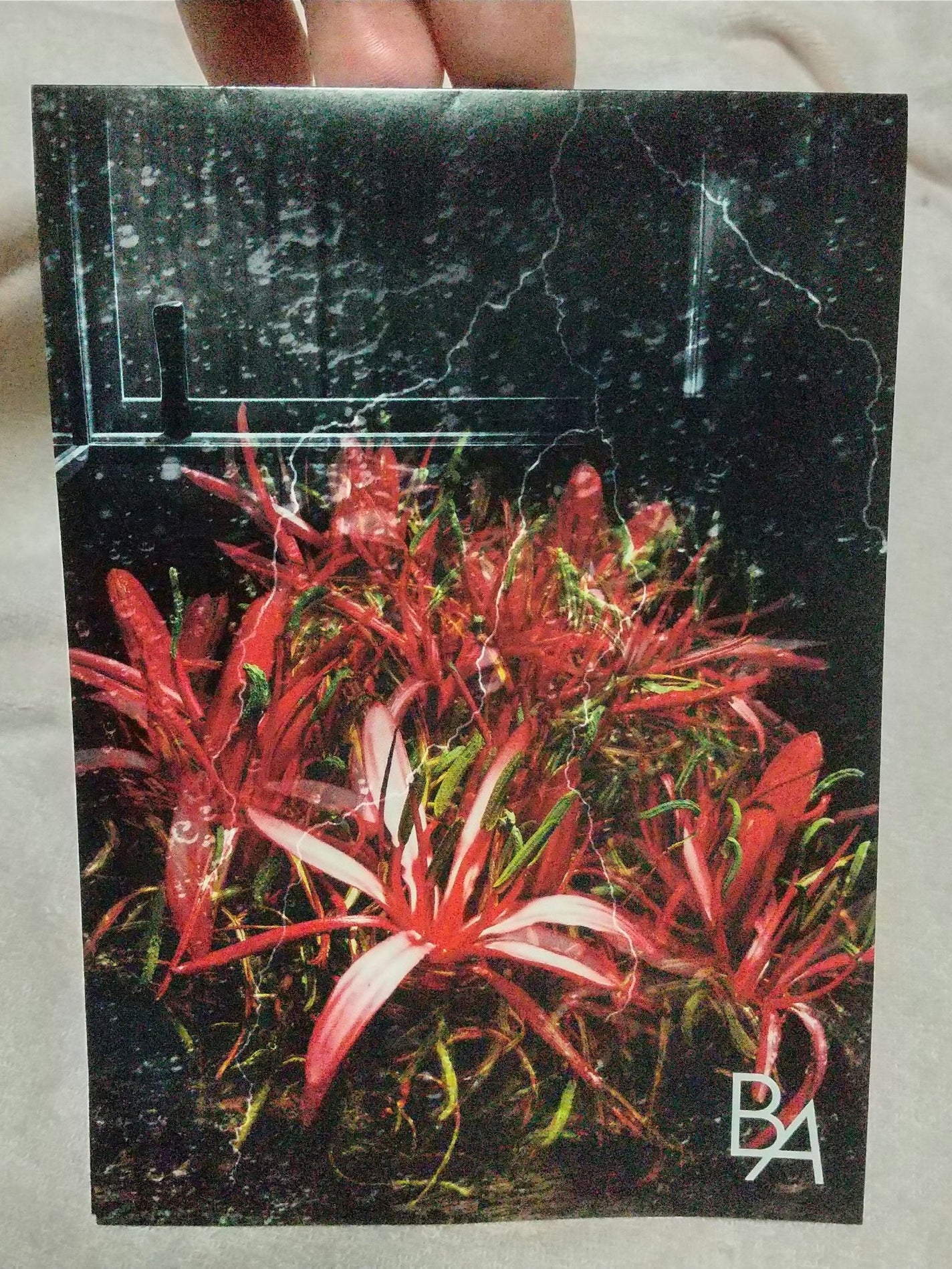 B.A ローション/B.A/化粧水を使ったクチコミ(1枚目)