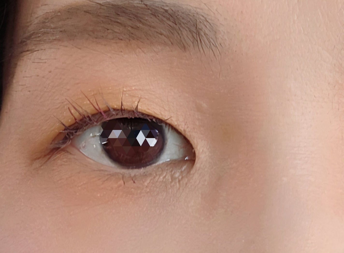 エクスプローラ12色 動物アイシャドウパレット/PERFECT DIARY/アイシャドウパレットを使ったクチコミ(3枚目)