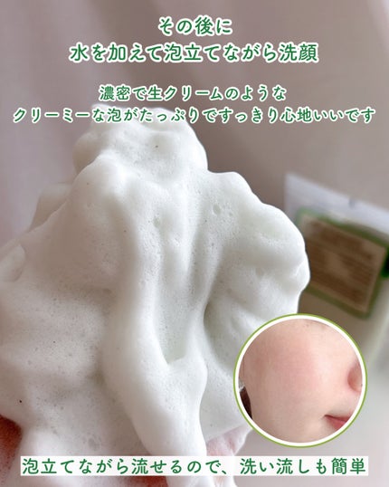 グリーントマトクレイマスククレンザー/FULLY/洗い流すパック・マスクを使ったクチコミ(5枚目)