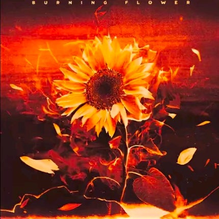 RINA ãã©ããð¯ on LIPS ãâ€ïž..ãïŒ5æç®ïŒ