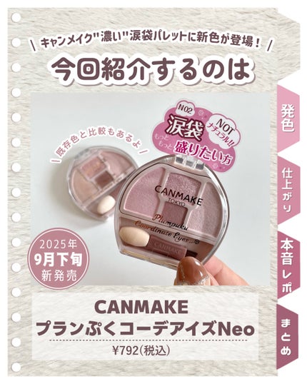 プランぷくコーデアイズNeo/キャンメイク/アイシャドウを使ったクチコミ(2枚目)