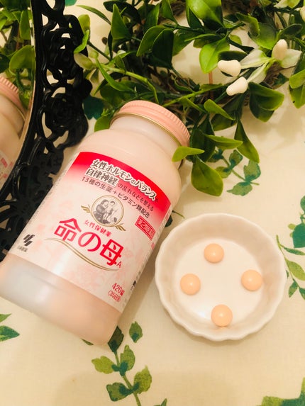 女性保健薬 命の母A (医薬品)/命の母/その他を使ったクチコミ(2枚目)