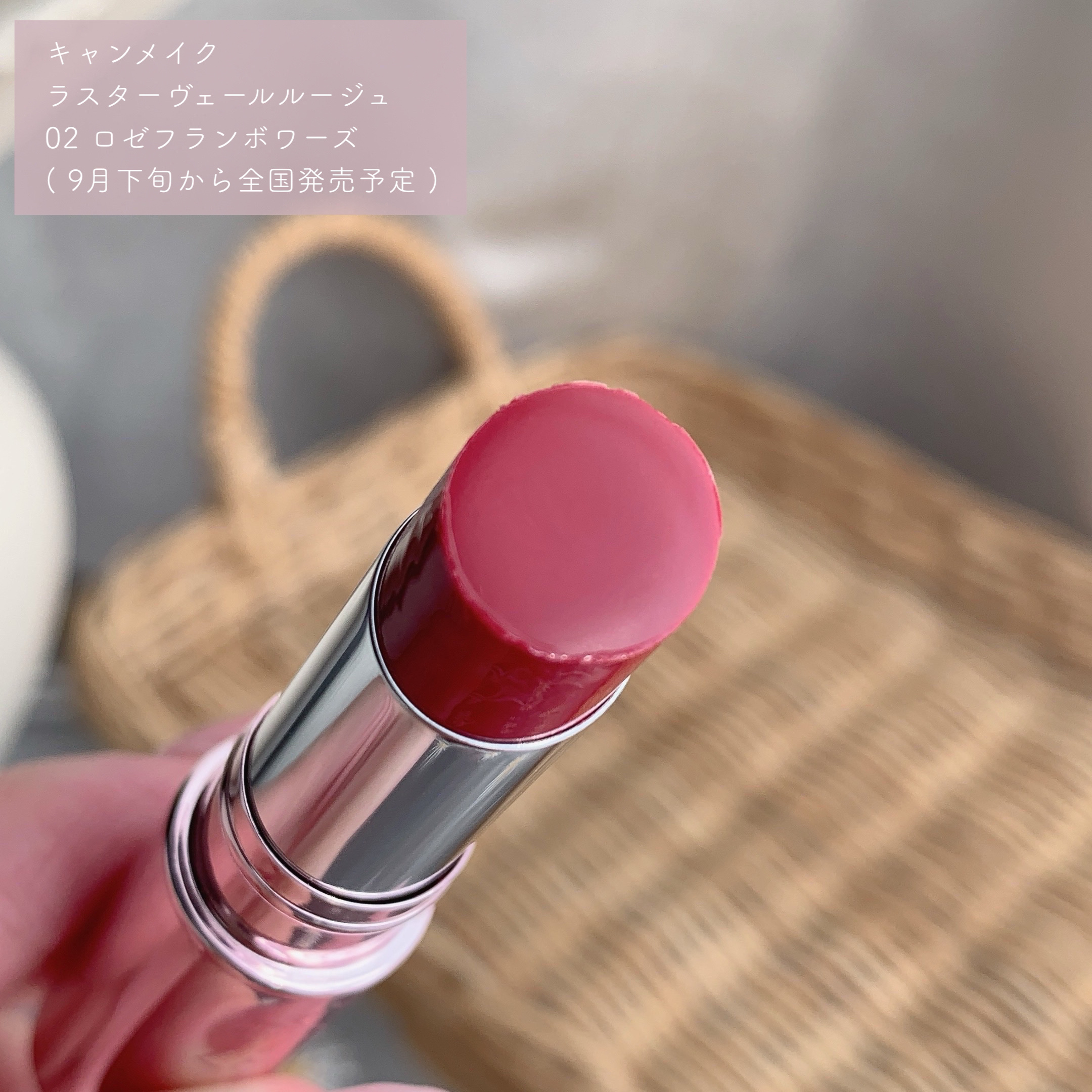 ラスターヴェールルージュ/キャンメイク/口紅を使ったクチコミ（2枚目）