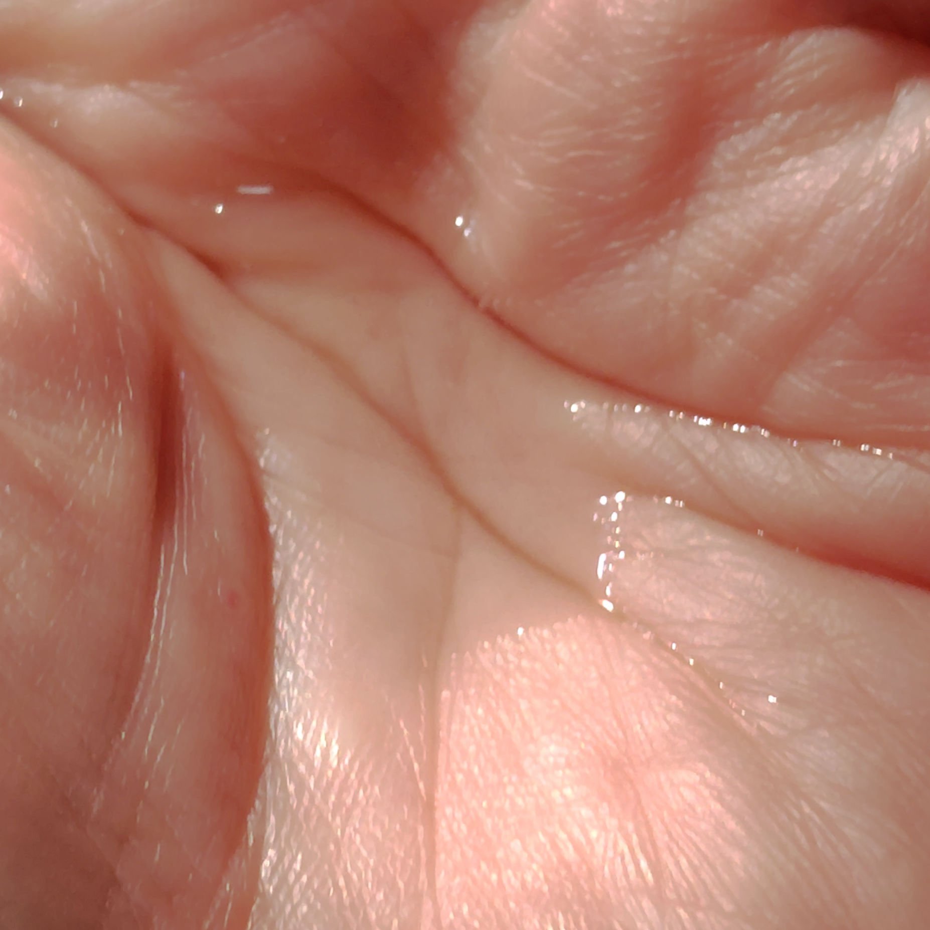 エクセル デイスキンウェイキング/excel/化粧水を使ったクチコミ（3枚目）