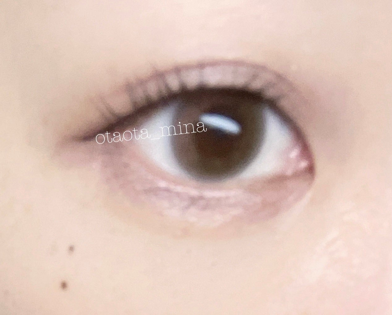 WANAF 1day/WANAF/ワンデー(1DAY)カラコンを使ったクチコミ(1枚目)