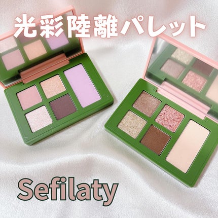 セフィラティ クイーンバレットアイズ/Sefilaty/アイシャドウパレットを使ったクチコミ(1枚目)