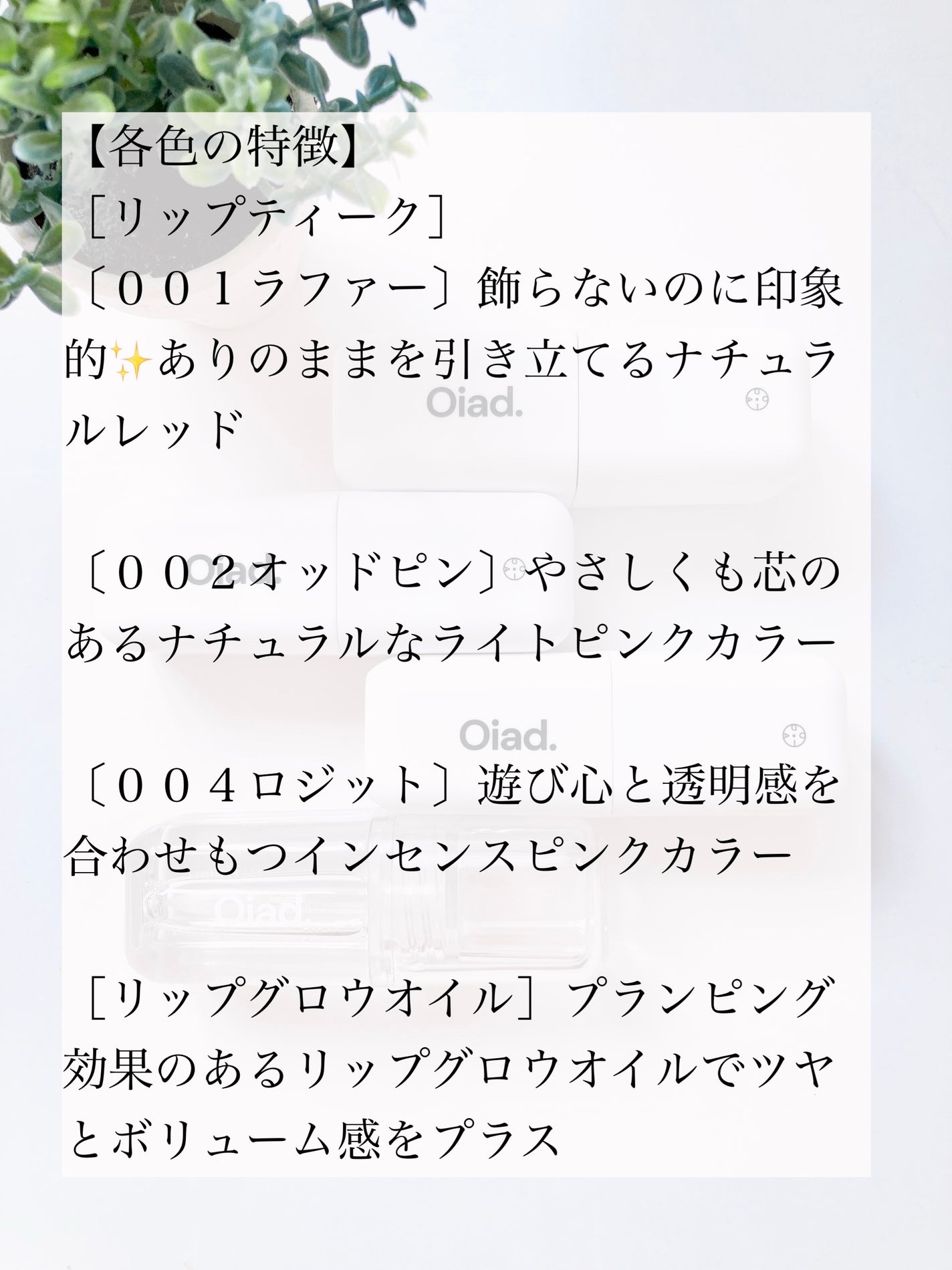 リップティーク/oiad/口紅を使ったクチコミ(6枚目)