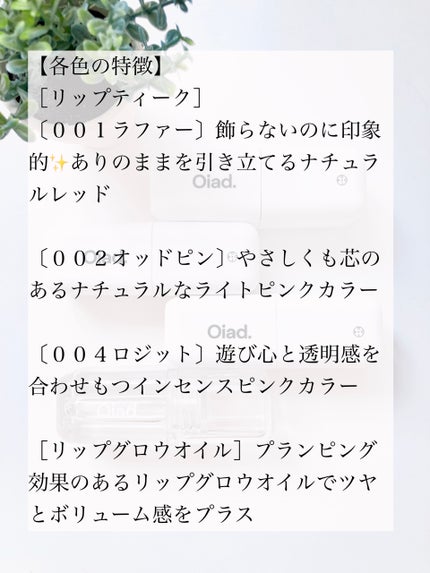 リップティーク/oiad/口紅を使ったクチコミ(6枚目)