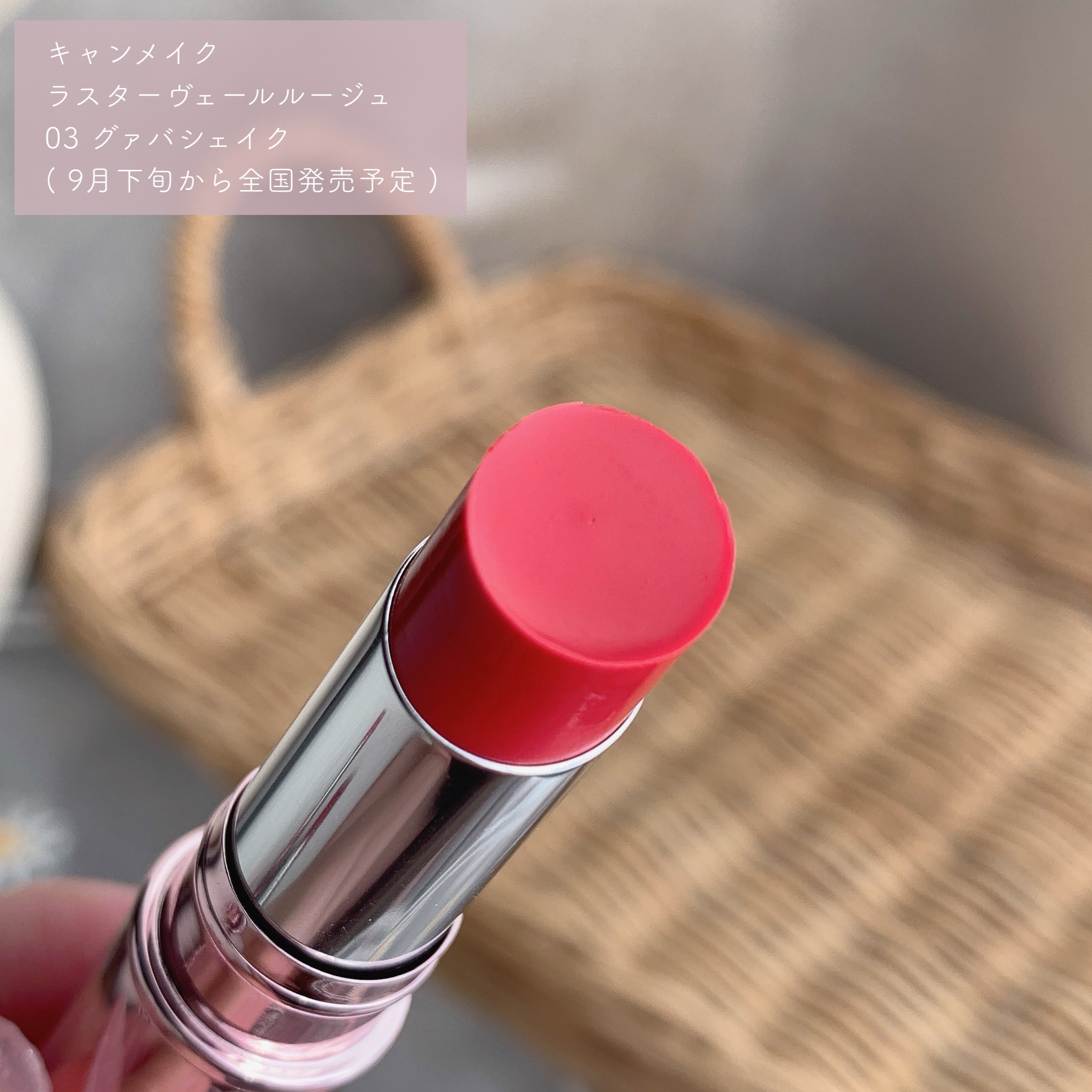ラスターヴェールルージュ/キャンメイク/口紅を使ったクチコミ（2枚目）