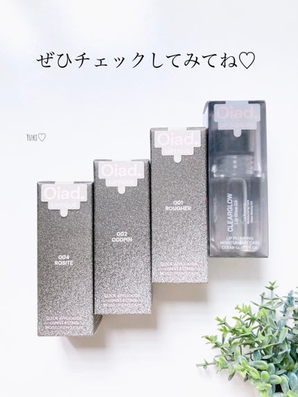 リップティーク/oiad/口紅を使ったクチコミ(9枚目)