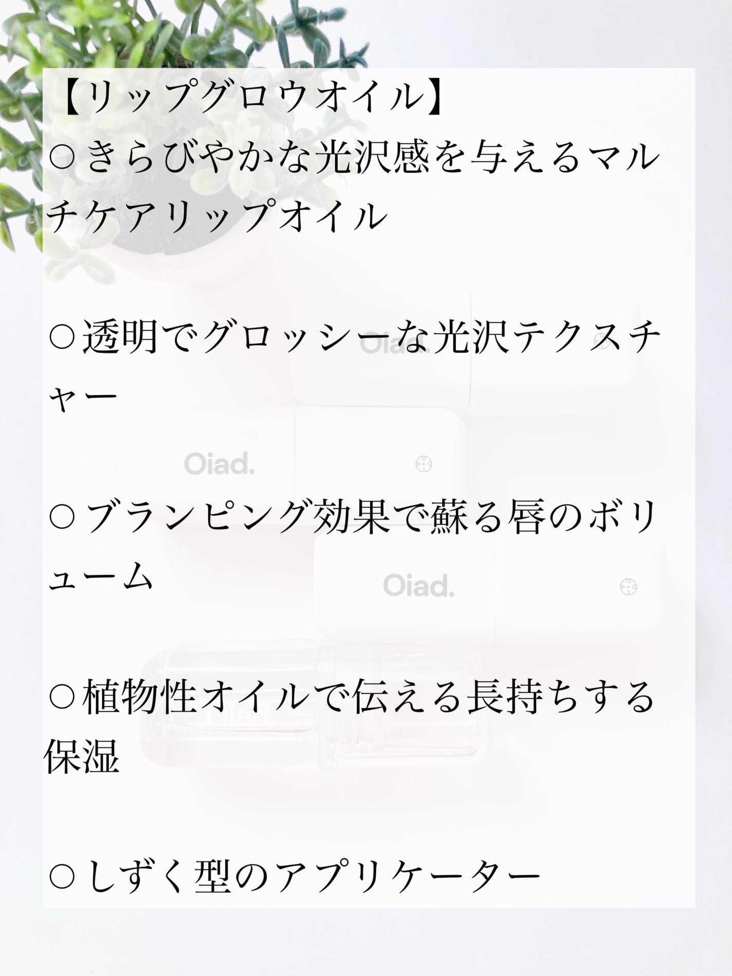 リップティーク/oiad/口紅を使ったクチコミ(4枚目)