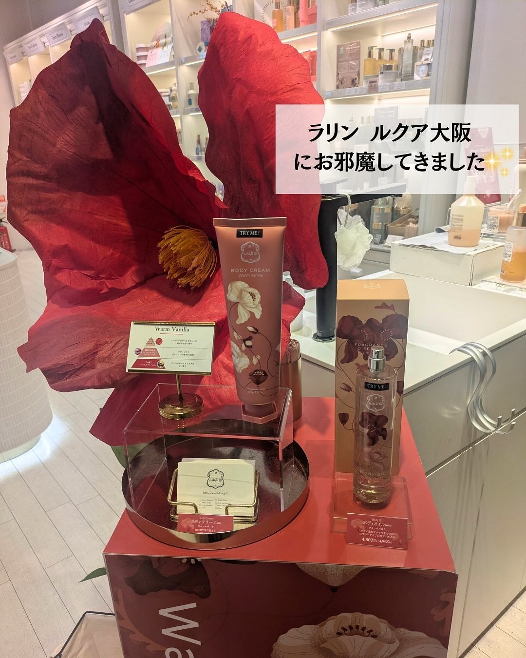 オリーブ&ババス ボタニカル リッチボディクリーム/Laline/ボディクリームを使ったクチコミ(2枚目)