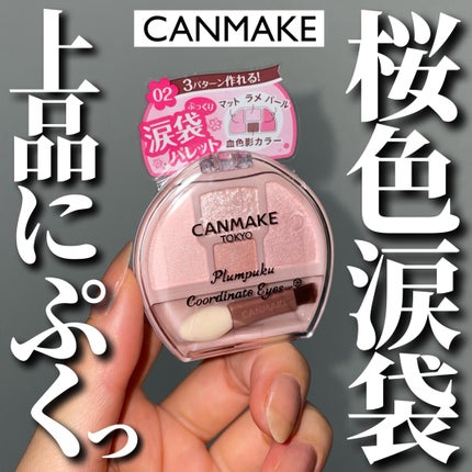 プランぷくコーデアイズ/キャンメイク/パウダーアイシャドウを使ったクチコミ(1枚目)