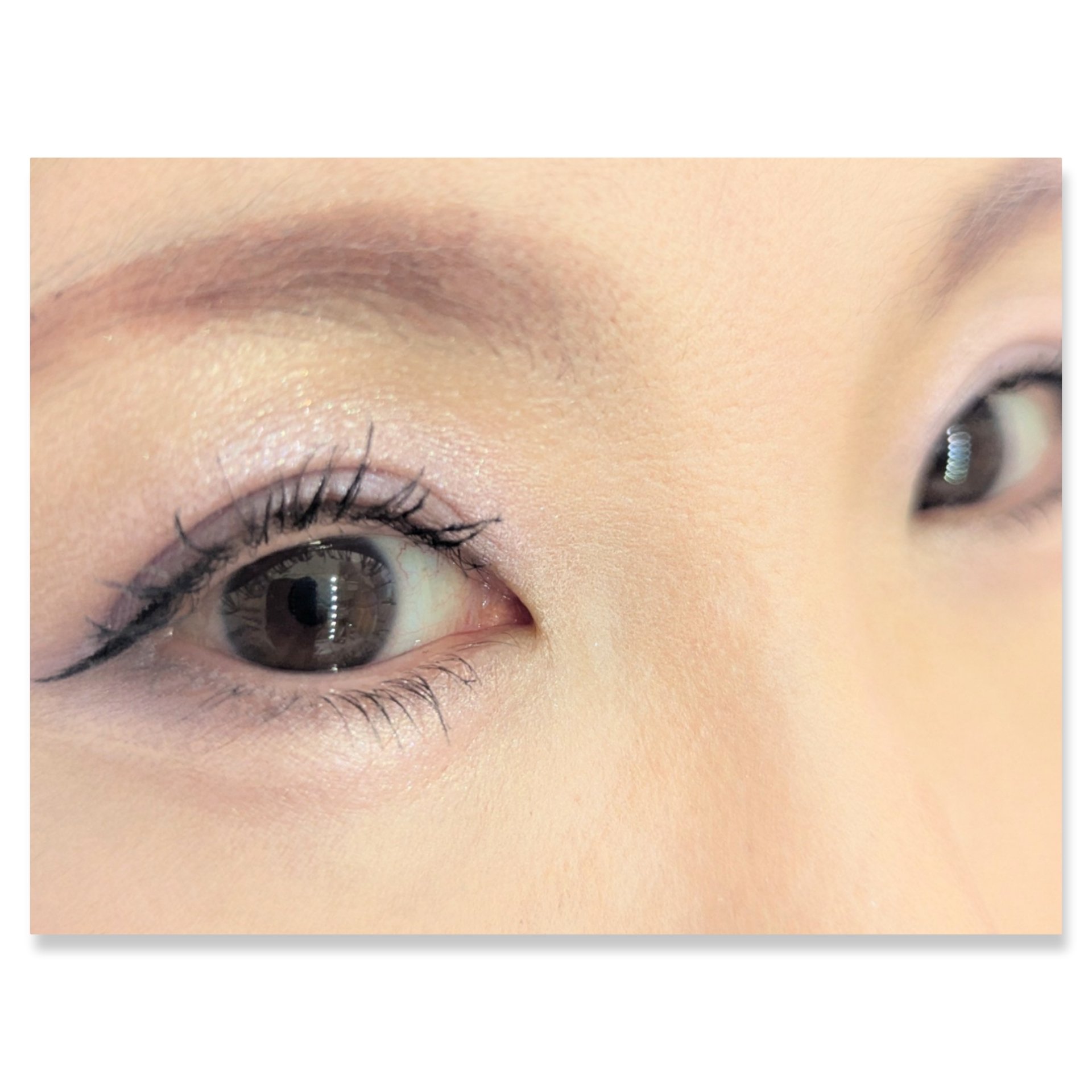 ライトニング アイズ/インフィニティ/アイシャドウパレットを使ったクチコミ（2枚目）