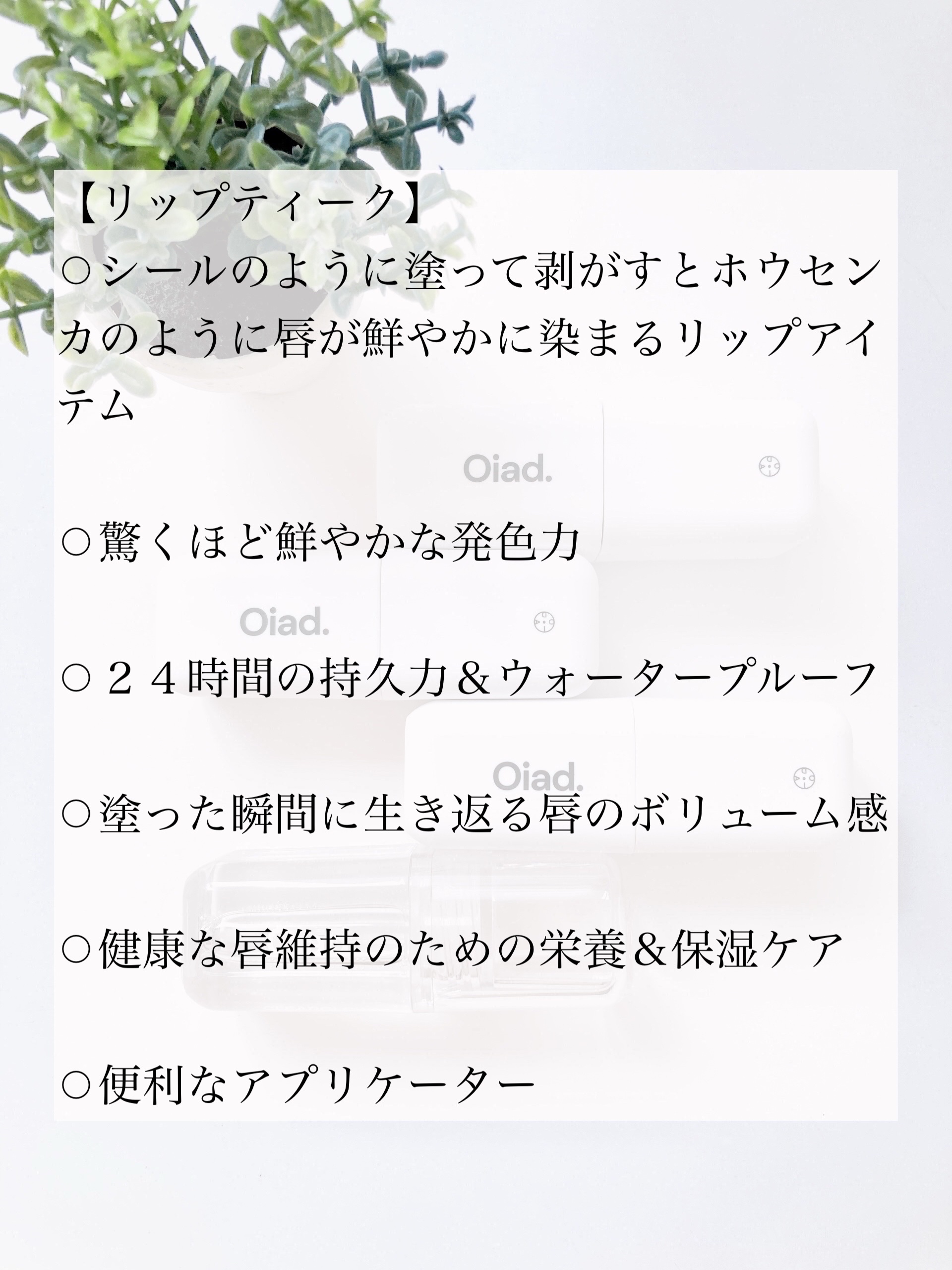 リップティーク/oiad/口紅を使ったクチコミ（2枚目）