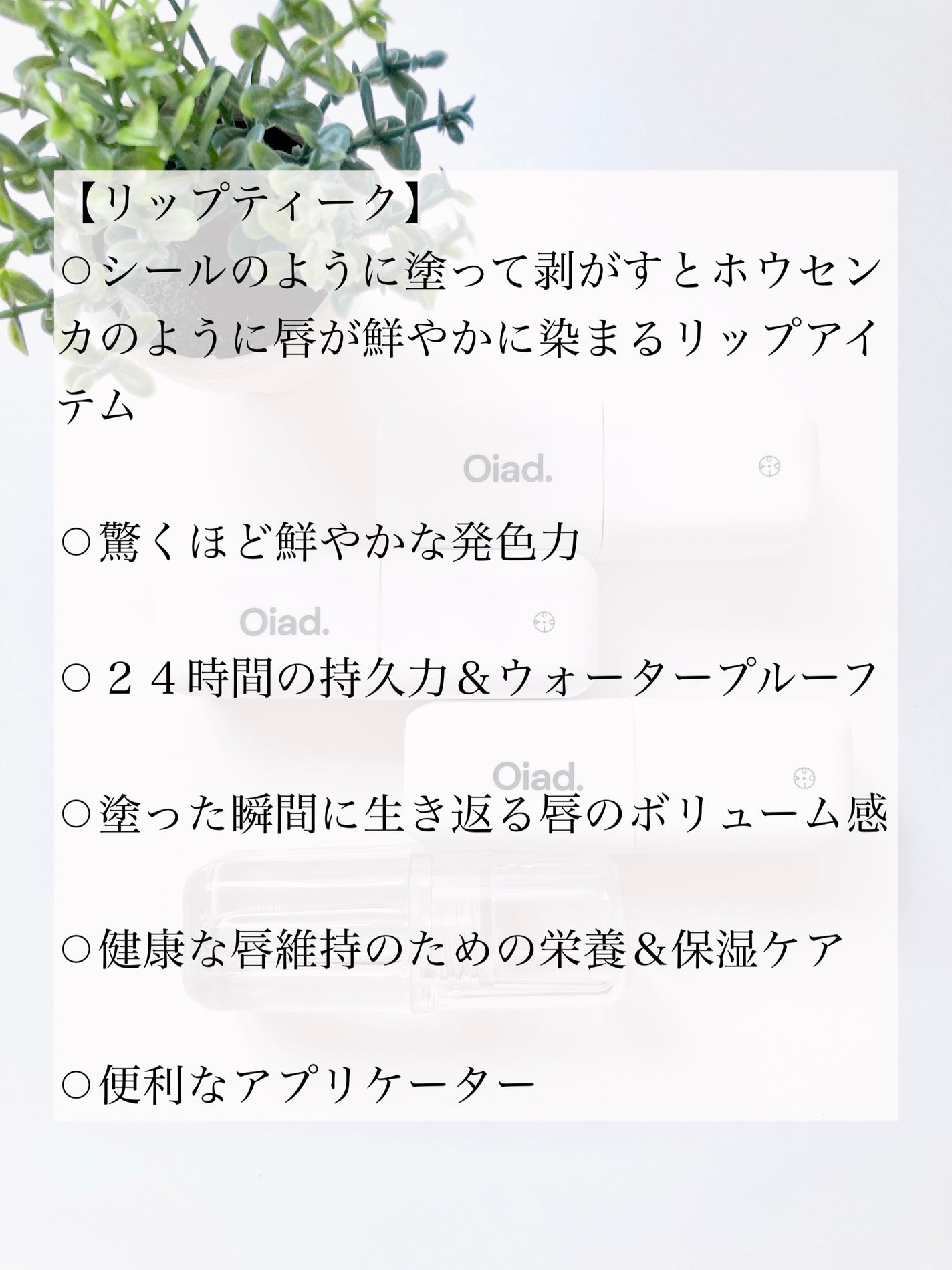 リップティーク/oiad/口紅を使ったクチコミ(2枚目)