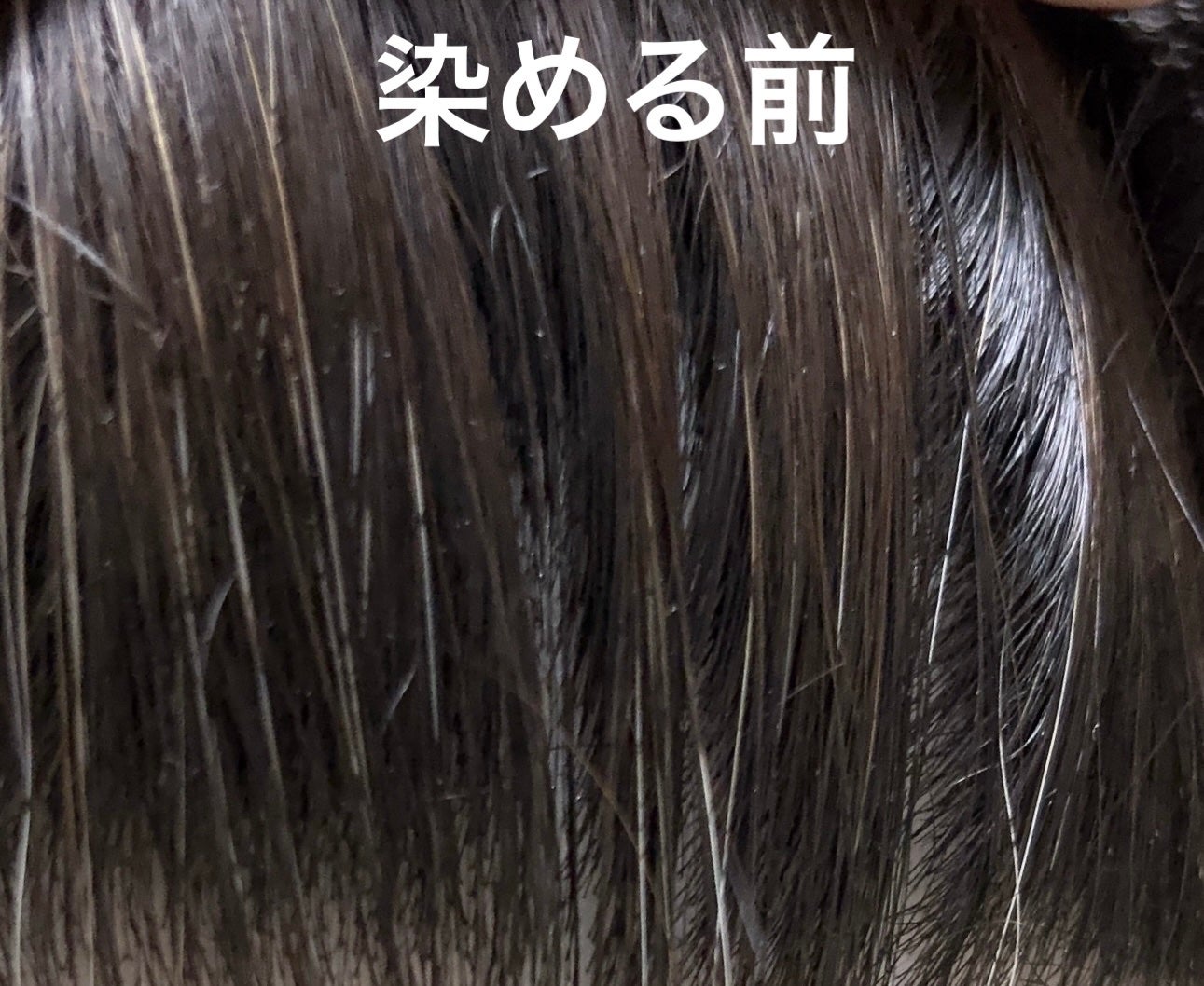 カラージェニック ミルキーヘアカラー (ちらっと白髪用)/サイオス/ヘアカラーを使ったクチコミ(5枚目)