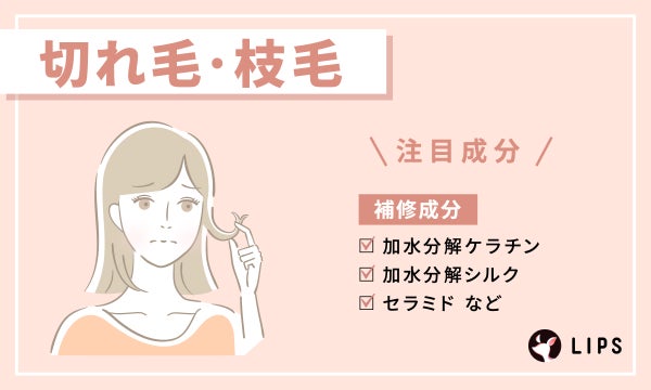 切れ毛・枝毛の注目成分は加水分解ケラチン・加水分解シルク・セラミドなどの補修成分。