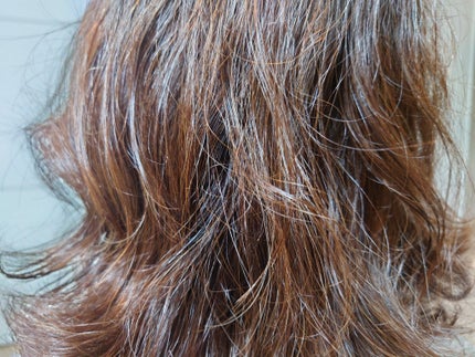 ににょ on LIPS 「SUBLIMICワンダーシールドhお試しさせて頂きました〜✨こ..」(4枚目)