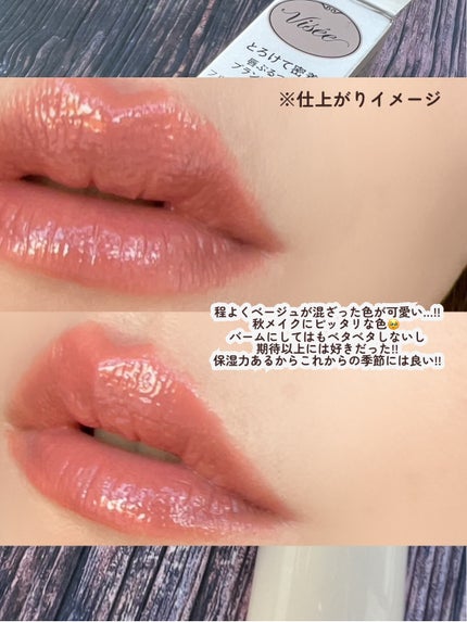 エッセンス プランプバーム RD480 ミスティフィグ/Visée/リッププランパーの画像