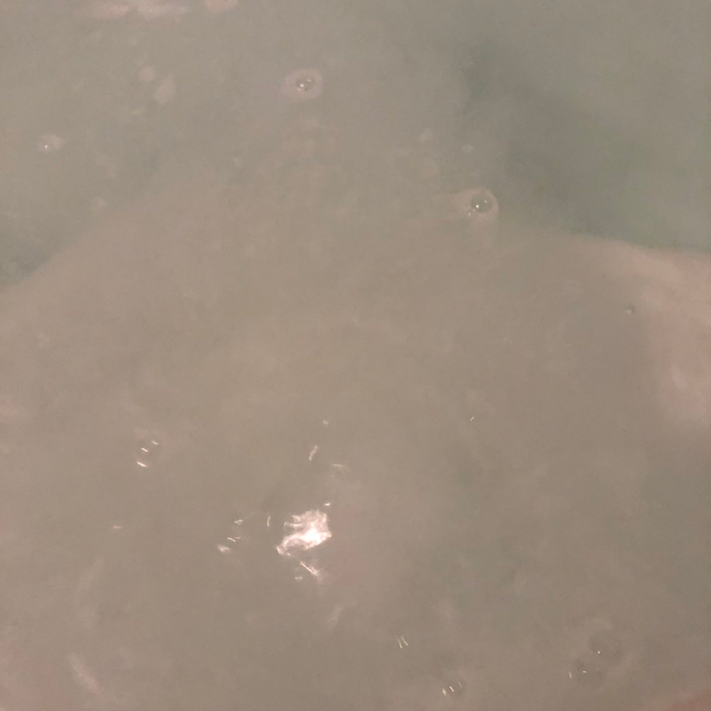 バブ モンスターバブル よくばりミルキー/バブ/炭酸系入浴剤を使ったクチコミ(6枚目)