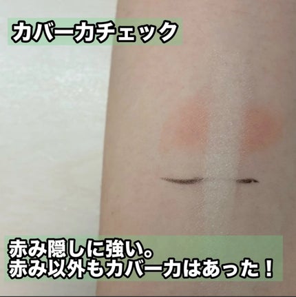 ロングラスティングコレクター/LUNA/リキッドコンシーラーを使ったクチコミ(6枚目)