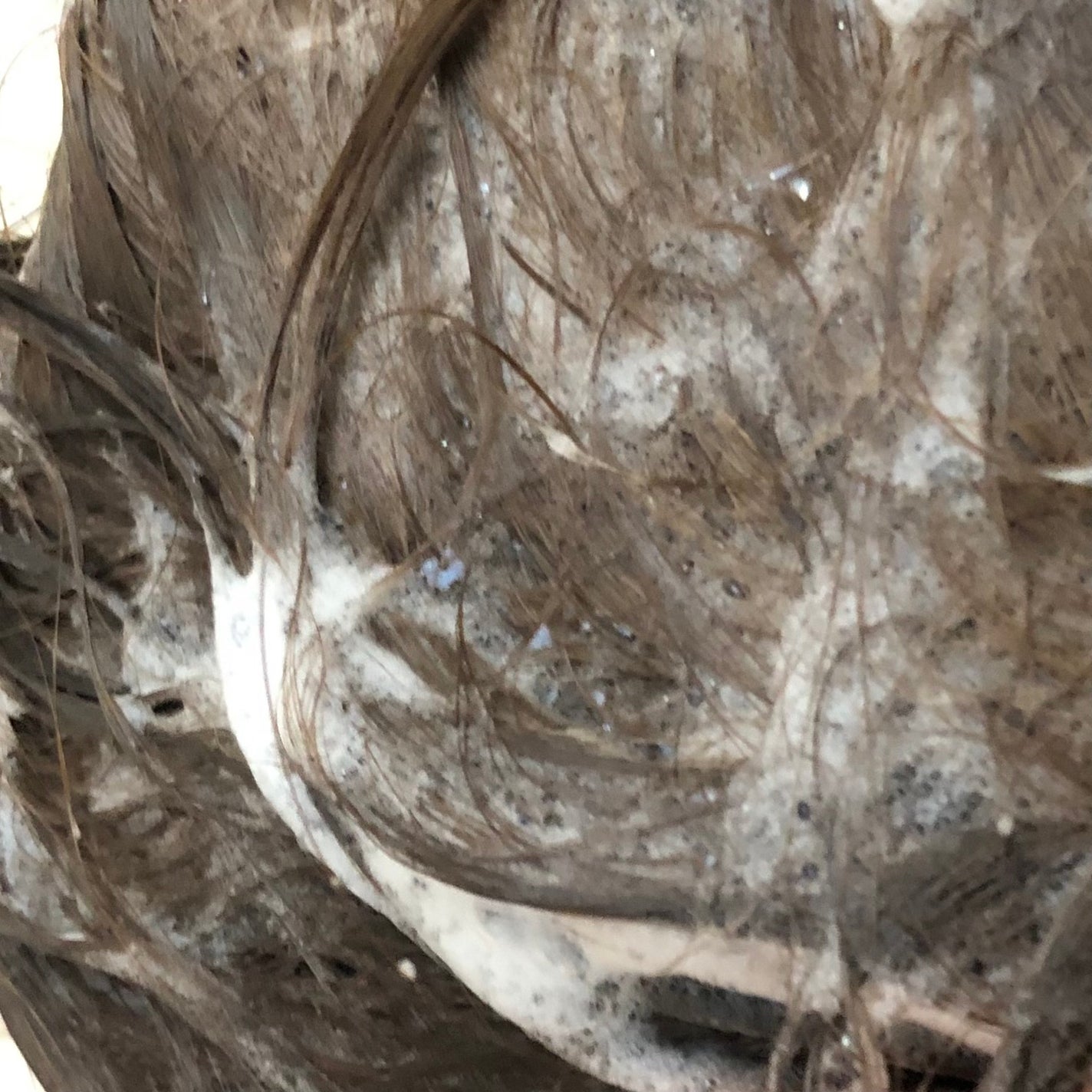 たまごぼーろちゃん on LIPS 「PHARMA21さまからいただきました🎁🌿🌿🌿☑︎PHARMA..」(4枚目)