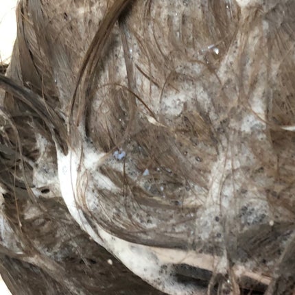 たまごぼーろちゃん on LIPS 「PHARMA21さまからいただきました🎁🌿🌿🌿☑︎PHARMA..」(4枚目)