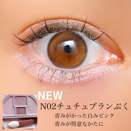 プランぷくコーデアイズNeo/キャンメイク/アイシャドウを使ったクチコミ(6枚目)