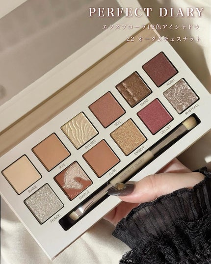 エクスプローラ12色 動物アイシャドウパレット/PERFECT DIARY/アイシャドウパレットを使ったクチコミ(2枚目)