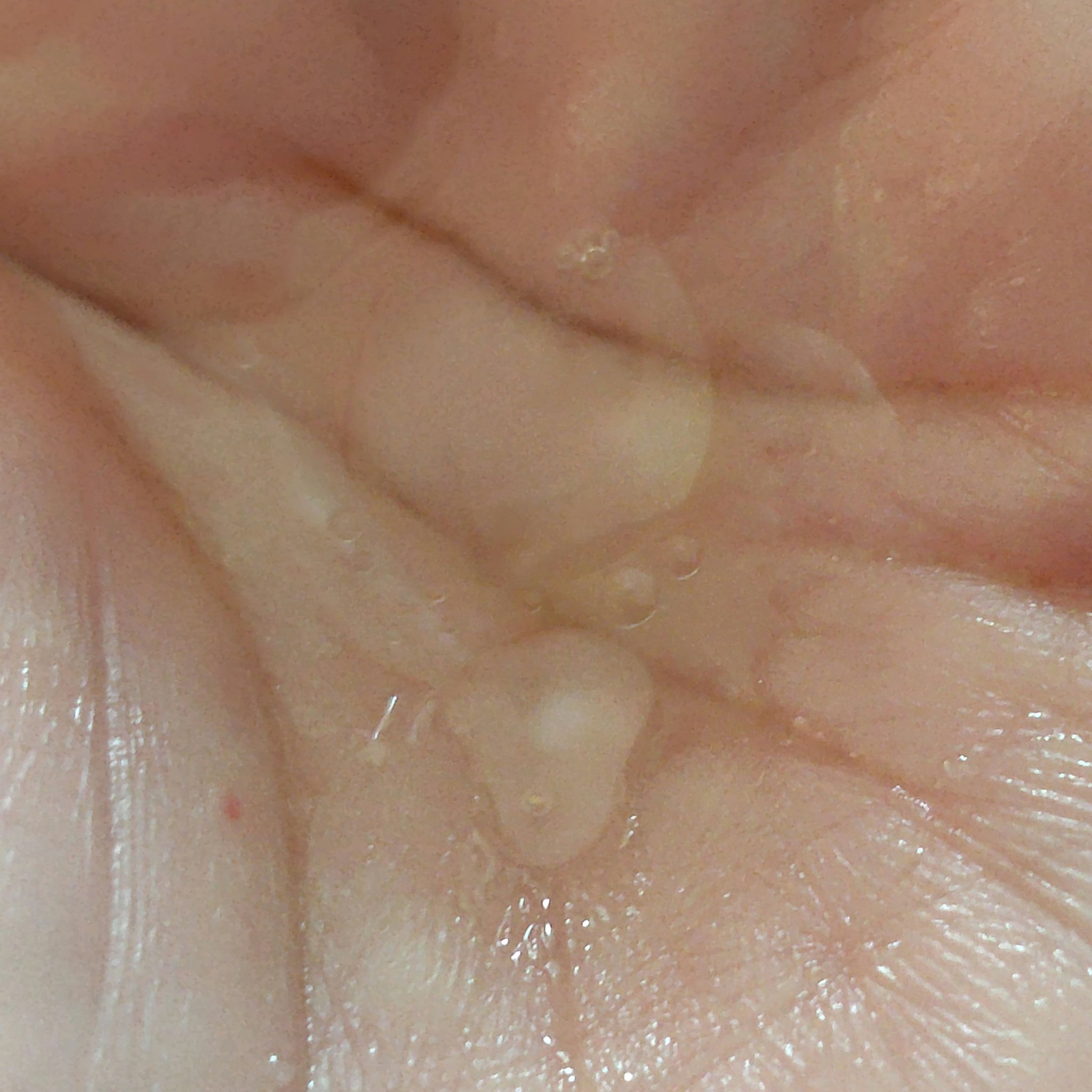 モイスチャライジング オイル n/BAUM/フェイスオイルを使ったクチコミ（2枚目）