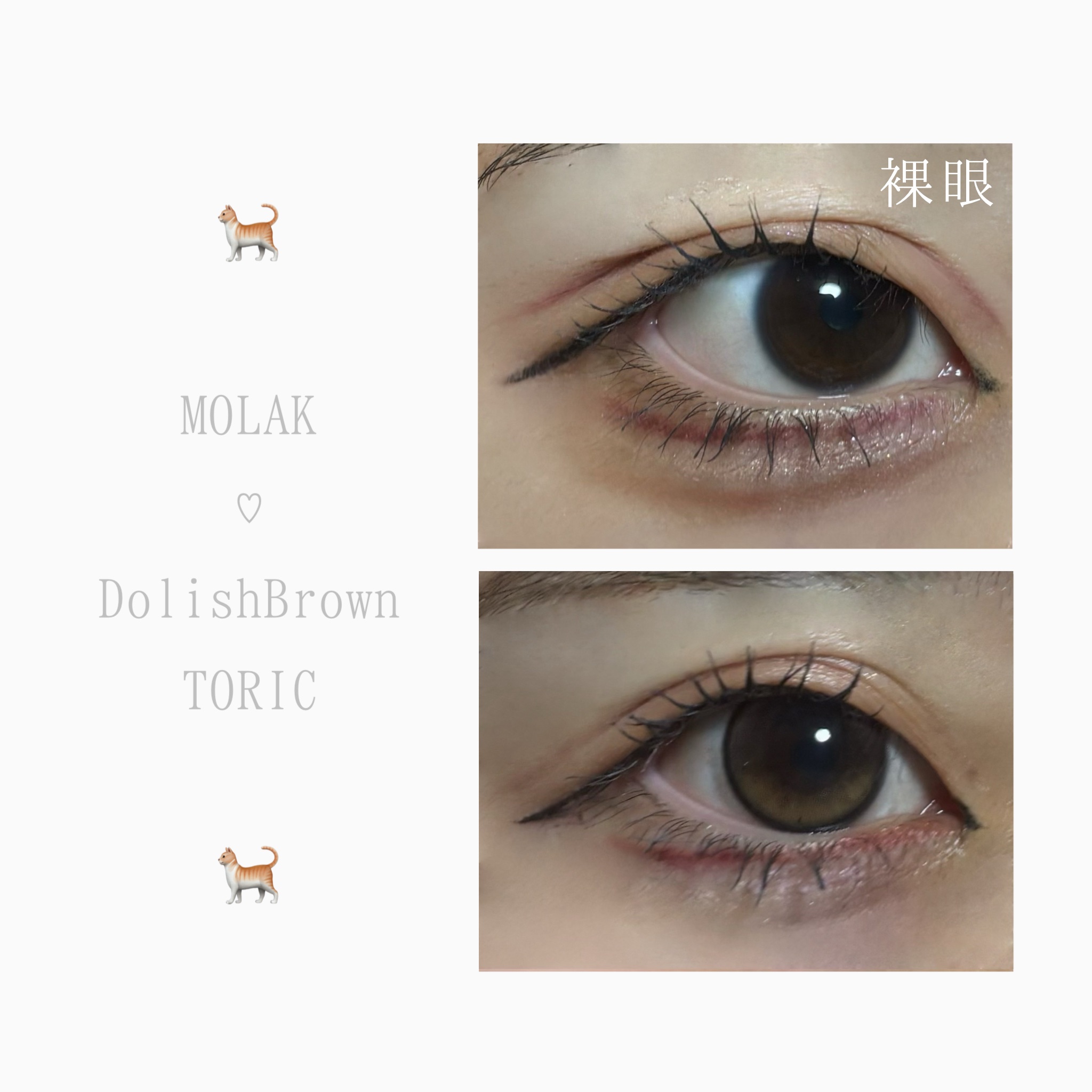 MOLAK TORIC 1day/MOLAK/ワンデー（１DAY）カラコンを使ったクチコミ（3枚目）