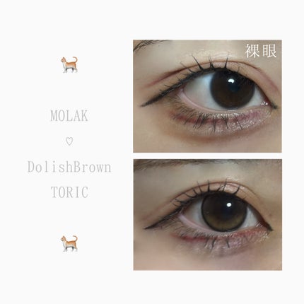 MOLAK TORIC 1day/MOLAK/ワンデー(1DAY)カラコンを使ったクチコミ(3枚目)
