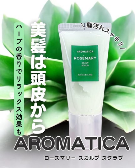 ローズマリー スカルプ スクラブ/AROMATICA/ヘッドスクラブを使ったクチコミ(1枚目)