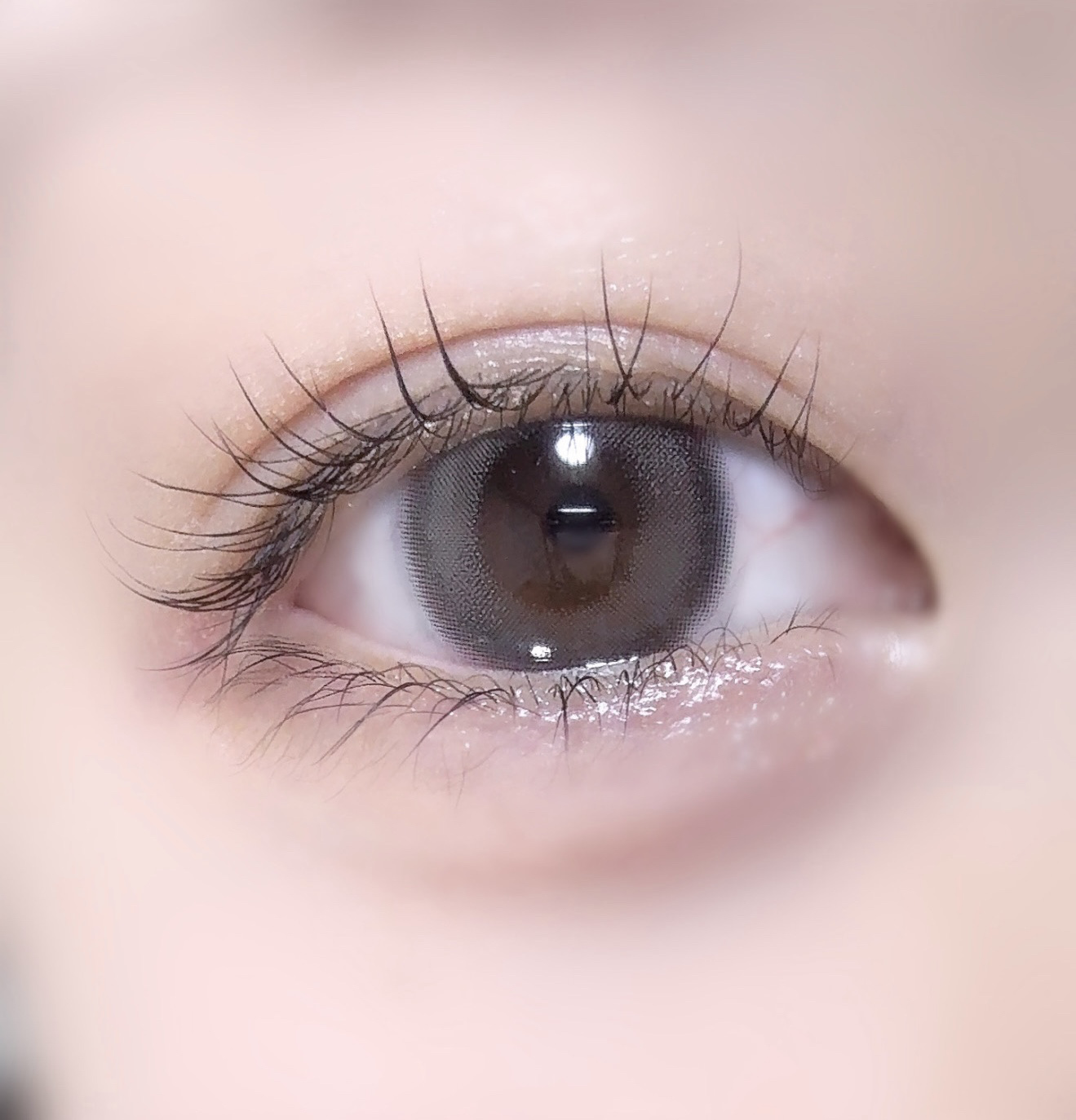 WANAF 1day セレングロー(SELENE GLOW)/WANAF/ワンデー（１DAY）カラコンを使ったクチコミ（1枚目）