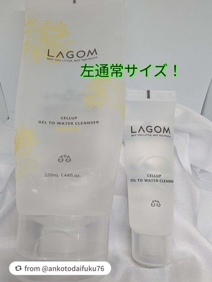 ラゴム ジェルトゥウォーター クレンザー(朝用洗顔)/LAGOM /その他洗顔料を使ったクチコミ(3枚目)