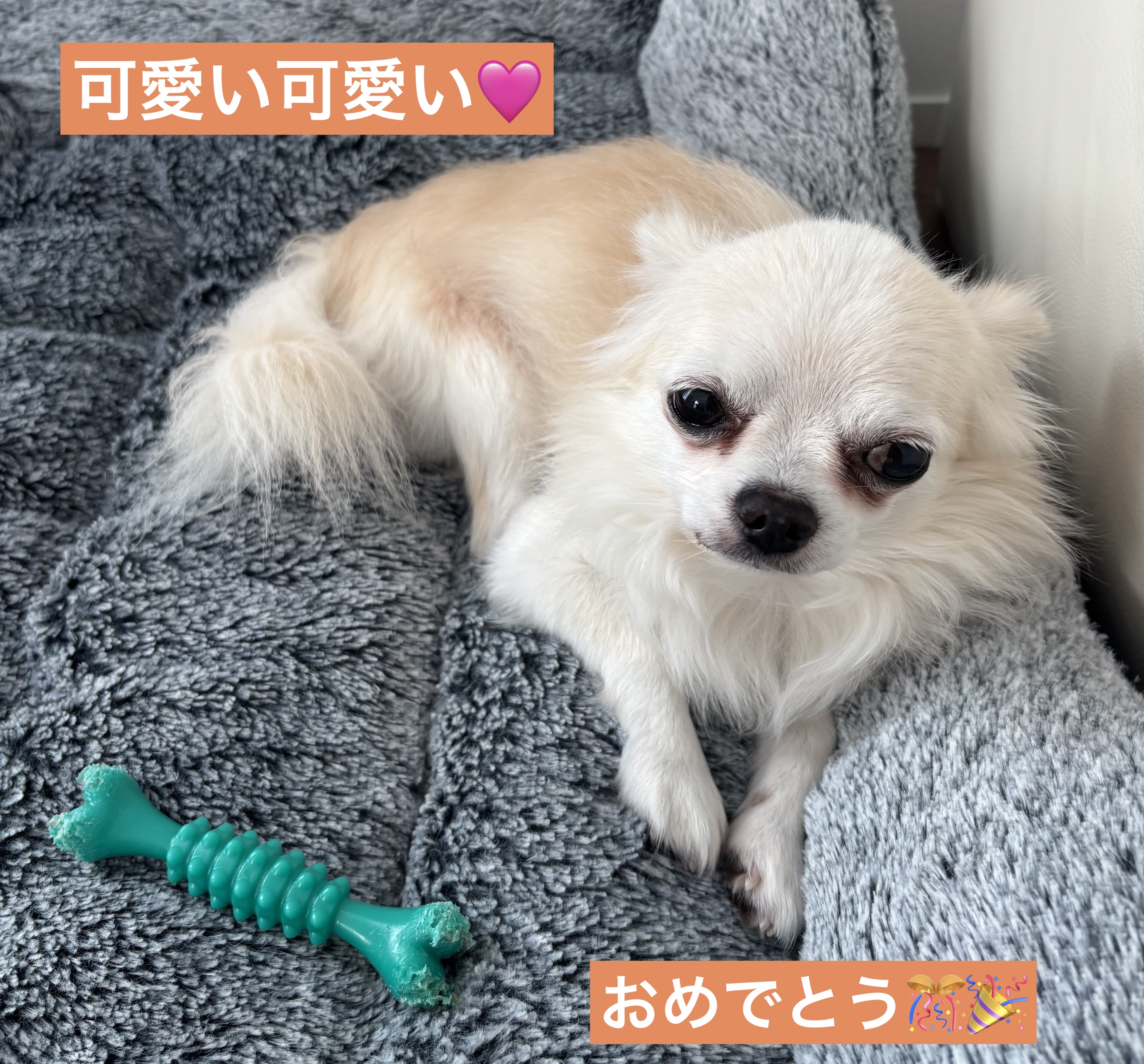 を使ったクチコミ（2枚目）