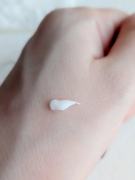 A.Cクリーム プレミアム 15g/LEPOREM/フェイスクリームの画像