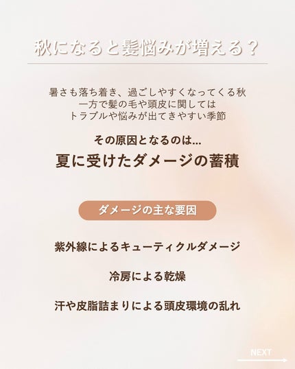 プルント ディープリペア美容液シャンプー/トリートメント/Purunt./市販シャンプーを使ったクチコミ(2枚目)