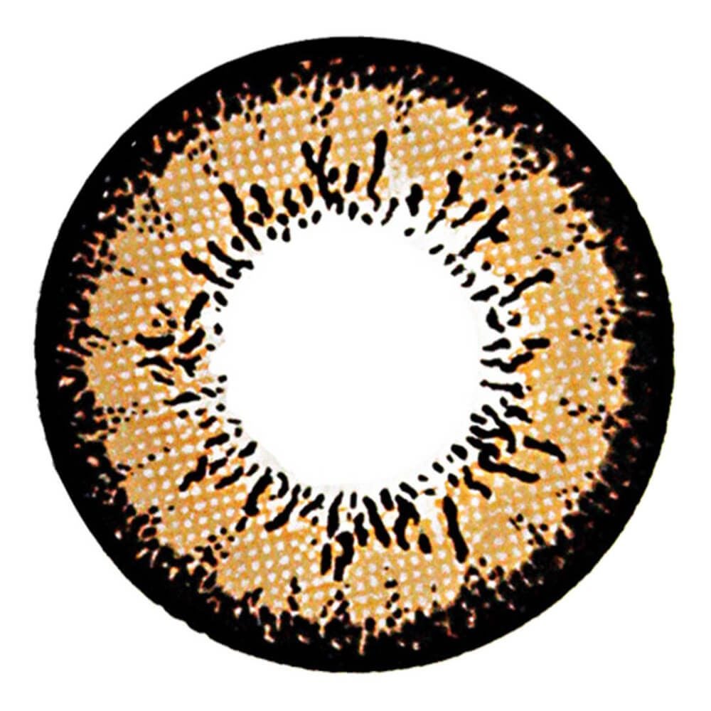 VICTORIA GARDEN 1month チョコレートブラウン