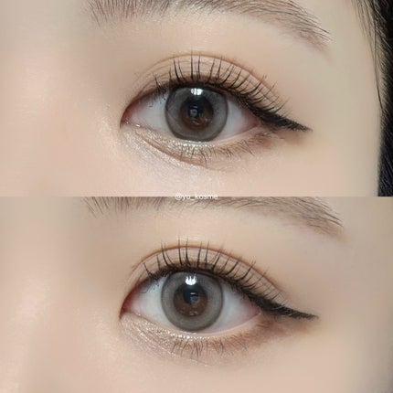 Sugar High Kristin Plus 1day GRAY/Hapa kristin/ワンデー(1DAY)カラコンの画像